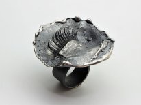 Anillo "ONÍRICS 5"