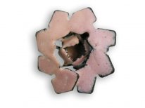 Pin "Variflorus I"