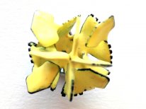 Pin "Variflorus IV"