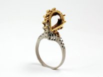 Ring "Crash 2"